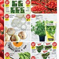 Folheto PINGO DOCE 17 a 23 março p6.jpg